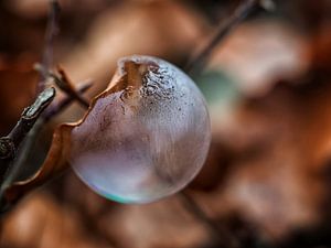 Almost frozen