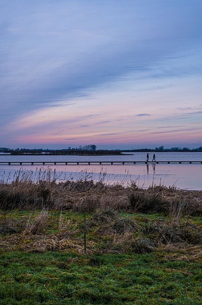 Roegwold in winter by Ronn Perdok