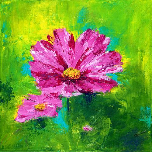 Fleurs de cosmos roses