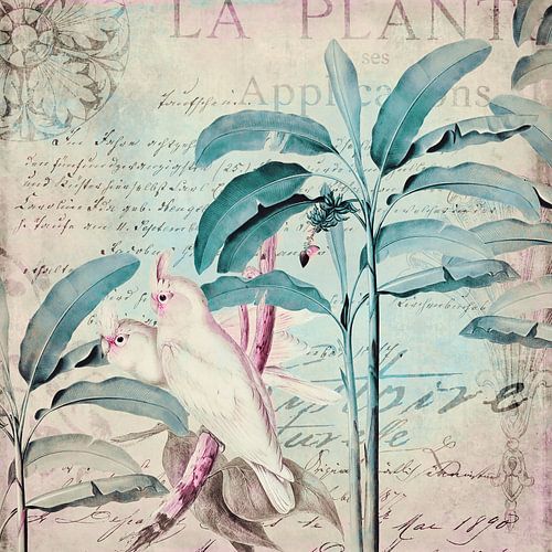 Kaketoes exotisch paradijs