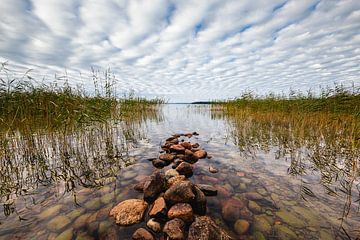 Pierres et roseaux dans un lac suédois