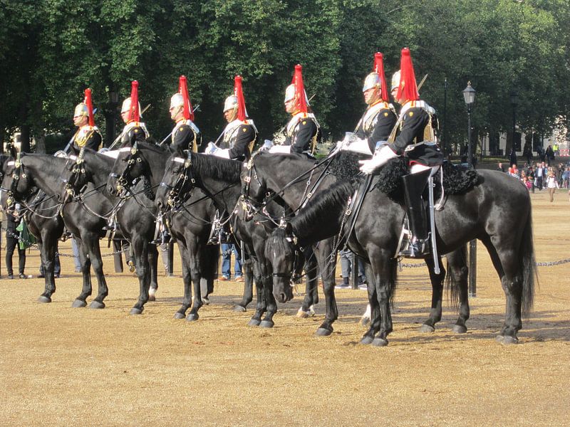 Paarden in Londen die salueerden voor de koning. van Veluws