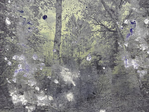Into Nature #09