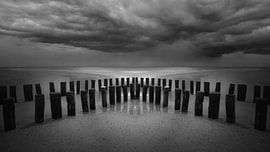 Also Niederländisch von Saskia Dingemans Awarded Photographer