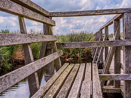 BAD BUCHAU : DER HOLZSTEG AM FEDERSEE von Photoart-Naegele