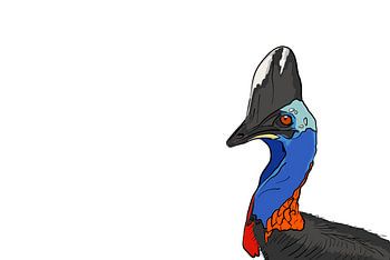 Kasuaris komt scherm in