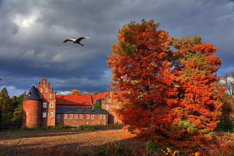 Grote Witte Zilverreiger van Edgar Schermaul