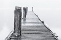 Steiger in de mist