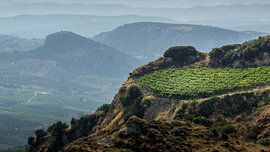 Weinstraße Kreta von natascha verbij