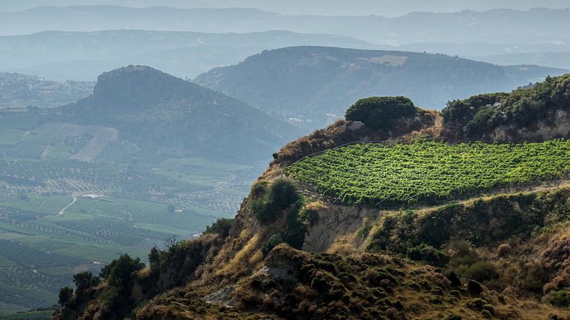 Weinstraße Kreta von natascha verbij