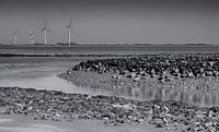 windmolens, termunterzijl
