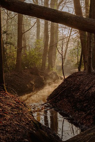 Brook près de Vaassen The Motketel