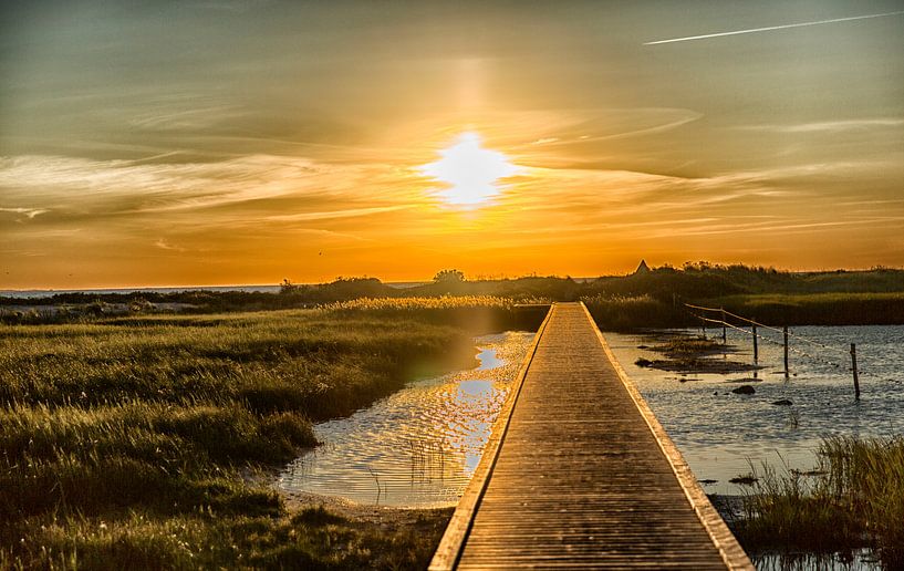 Golddichtung von Jan Sportel Photography