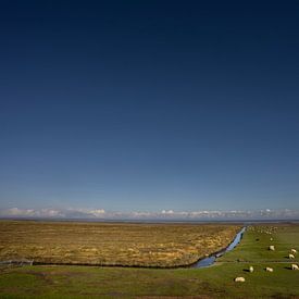 Vast salt marshes in Groningen by Bo Scheeringa Photography