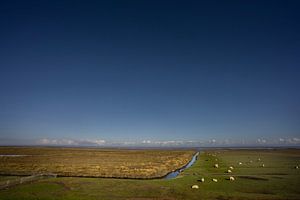 De vastes marais salants à Groningue sur Bo Scheeringa Photography