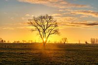 Zonsopgang