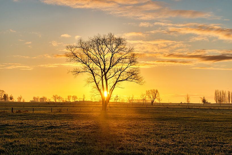 Sunrise by Rudi Everaert