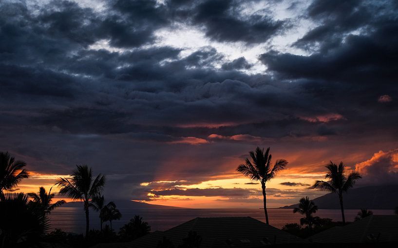 Hawaii by Hello Pompoyo