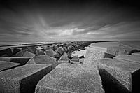 pier of Scheveningen