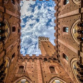 The Palazzo Pubblico photographed from the inside by Jan de Wild