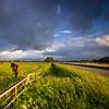 An einem schönen Frühlingsmorgen ziehen dunkle Wolken über das Hogeland in Groningen. Pferde grasen  von Bas Meelker