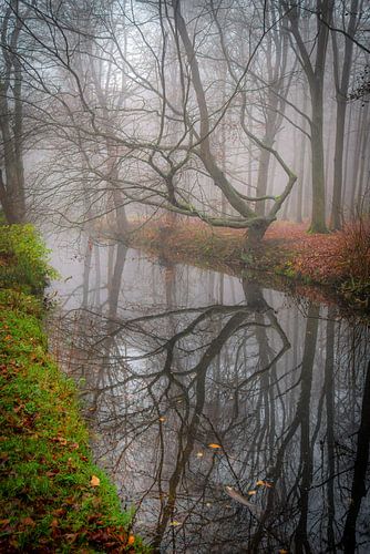 Backershagen Wassenaar
