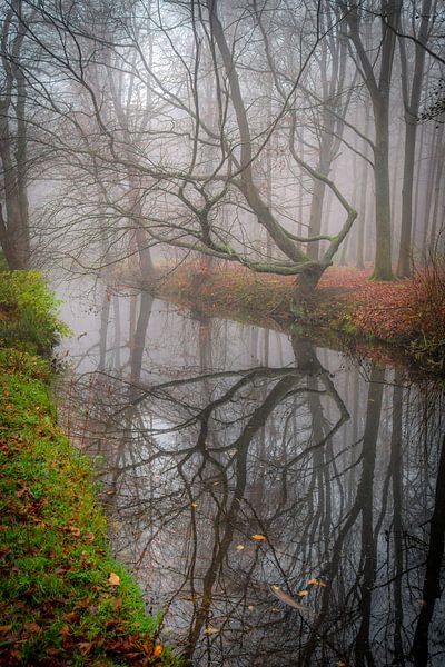 Backershagen Wassenaar by Dirk van Egmond