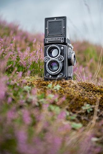 Rolleiflex op de heide