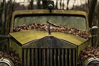 Rolls Royce