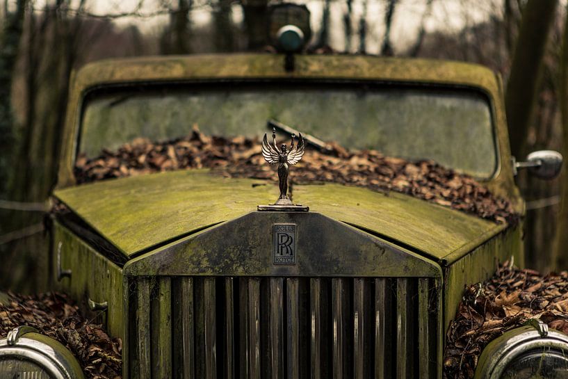 Rolls Royce by Dennis van Dijk
