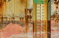 Roestige scheepsromp met ladder van Frans Blok thumbnail