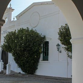 Argentinian winery by Rominique Kea