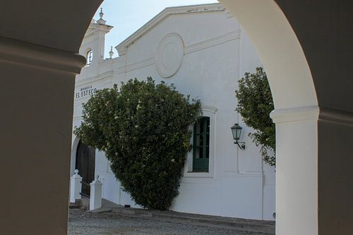 Argentinisches Weingut