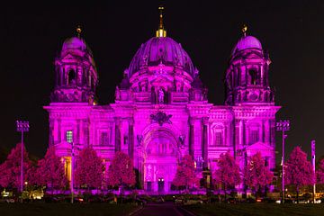 La cathédrale de Berlin sous une lumière particulière