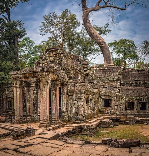 Ta Prohm tempel, Cambodja