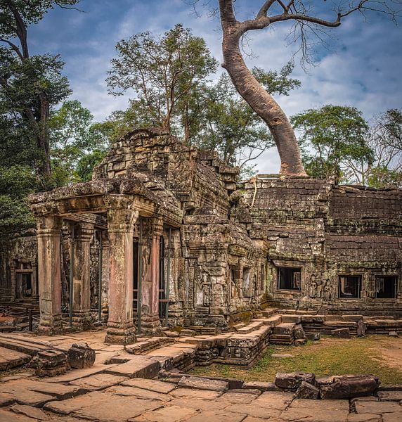 Ta-Prohm-Tempel, Kambodscha von Rietje Bulthuis