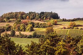 Dodeman Stokhem by Rob Boon