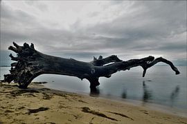 Hinterlassenschaft von Ramona Peter