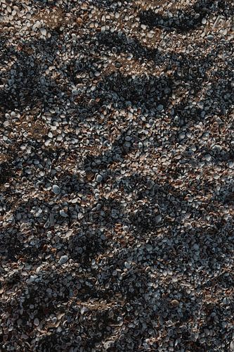 Walk on the beach during sunset - sand and shells art print | travel and nature photography