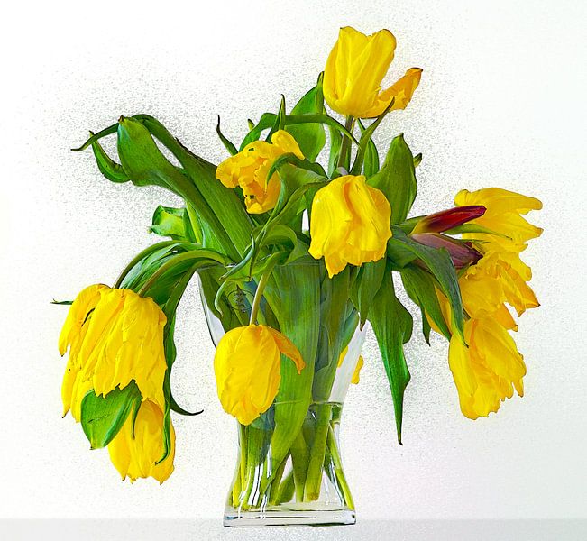 Gelbe Tulpen von Leopold Brix