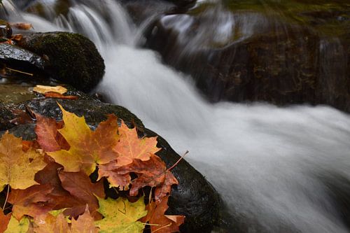 Ein Wasserfall im Herbst