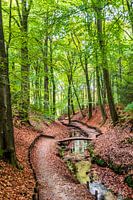 The Beekhuizen stream in autumn colours