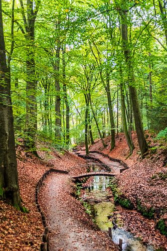 De Beekhuizense beek in herfstkleuren