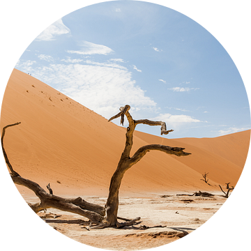 Verlaten landschap Dodevlei (Deadvlei) Namibië van Simone Janssen