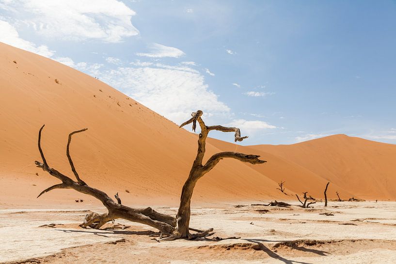 Verlassene Landschaft Dodevlei (Deadvlei) Namibia von Simone Janssen