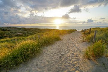 Strand, zee en zon