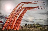 Kite Festival Fehmarn