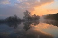 Twilight