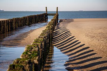 Strandpalen bij eb 4