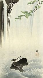 Japanese wagtail at Ohara Koson waterfall - 1900 - 1930